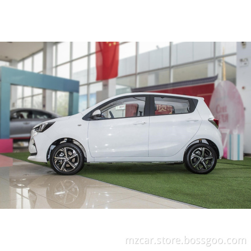 2023 New Version Changan Benben E-Star Range 310Km Full Version Low Price High Quality China Electric Car